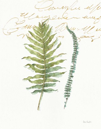 Framed My Greenhouse Fern I Print