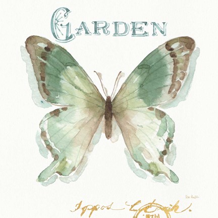 Framed My Greenhouse Butterflies III Print