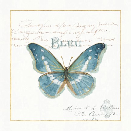 Framed Rainbow Seeds Butterflies V Print