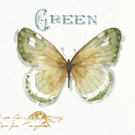 Framed My Greenhouse Butterflies IV Print