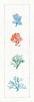 Framed Water Coral VII Print