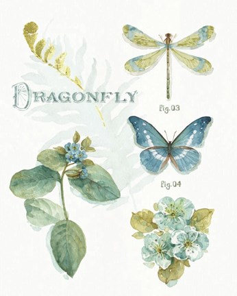 Framed My Greenhouse Botanical II Print