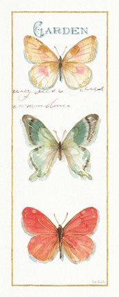 Framed Rainbow Seeds Butterflies II Print