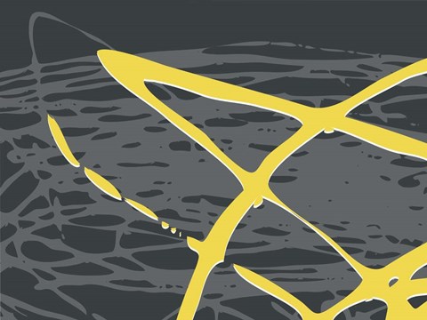 Framed Brighter Nest Point Print