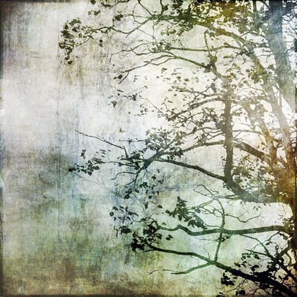 Framed Branching Out Print