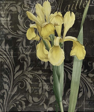 Framed Ode to Yellow Flowers Print