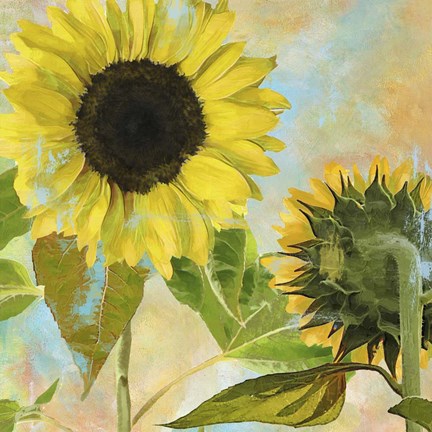 Framed Soleil I Print