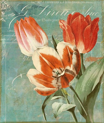 Framed Tulips Ablaze II Print