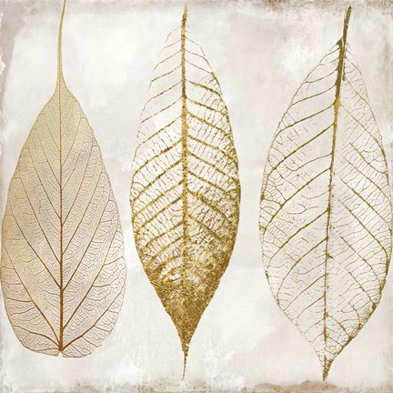 Framed Fallen Gold II Print