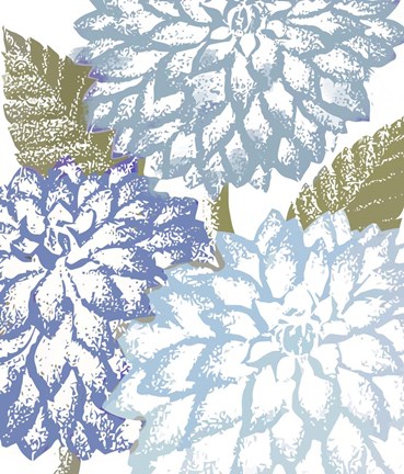 Framed Sea Dahlias I Print