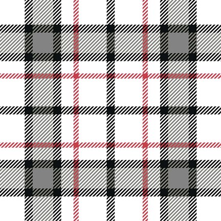 Framed Plaid White Print