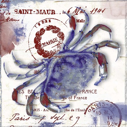 Framed Oceania I Print