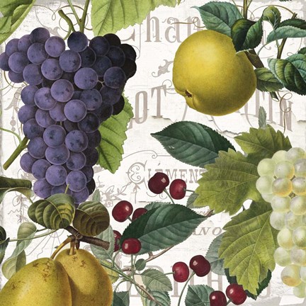 Framed Fruit Bowl I Print