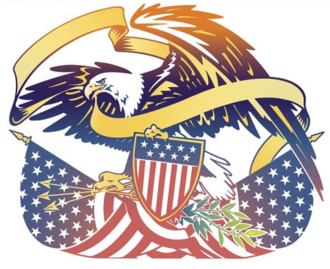 Framed American Eagle Print