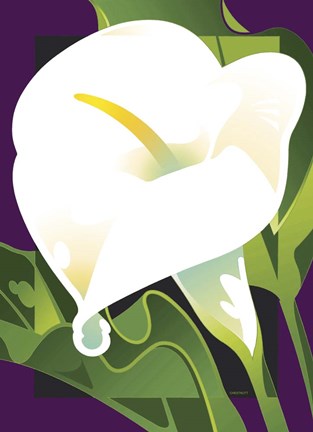 Framed Calla Lily Print