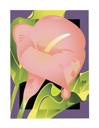 Framed Calla Pink Print