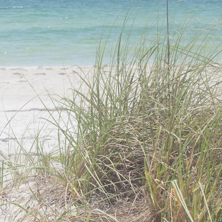 Framed Ocean Air II Print