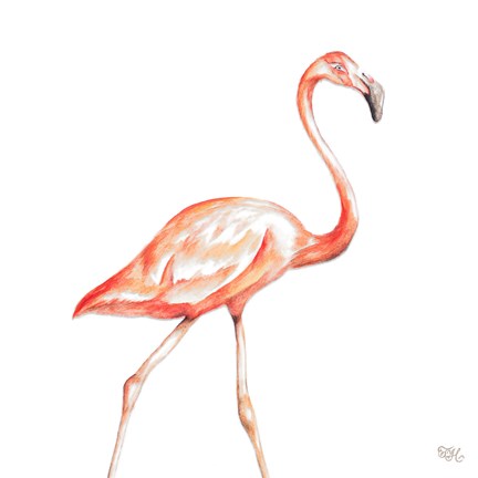 Framed Flamingo Duo Square I Print