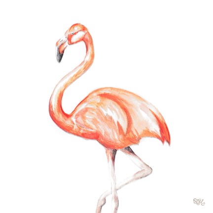 Framed Flamingo Duo Square II Print