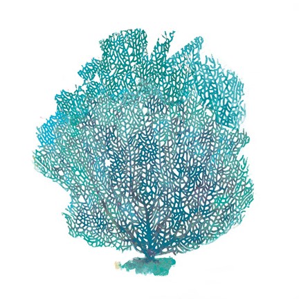 Framed Teal Coral on White I Print
