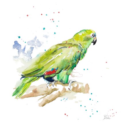 Framed Amazon Parrot III Print