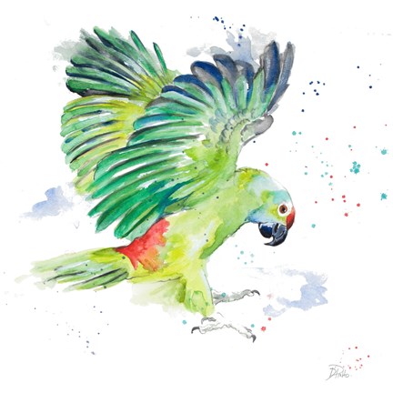 Framed Amazon Parrot I Print
