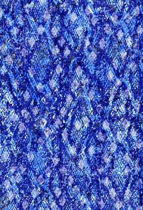 Framed Snake Skin I Print