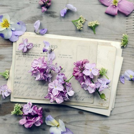 Framed Final Air Mail Print