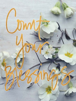 Framed Count Your Blessings Print