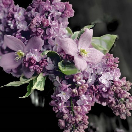 Framed Fresh Evening Bloom Print