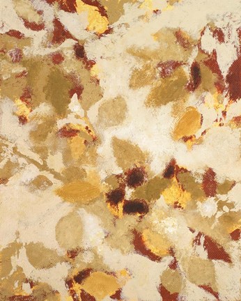 Framed Sun-dazzled Branches II Print