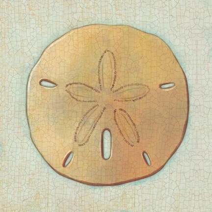 Framed Coastal Treasures IV Print