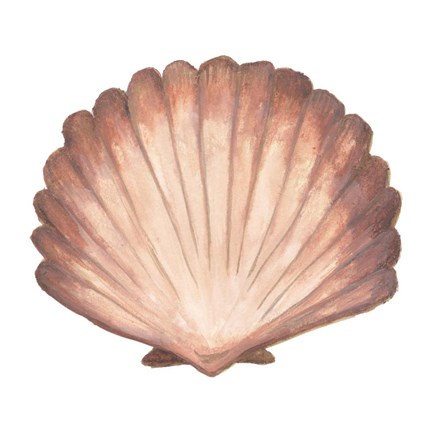 Framed Coastal Modele Print