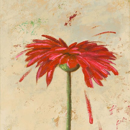 Framed Tiny Flower Square II Print