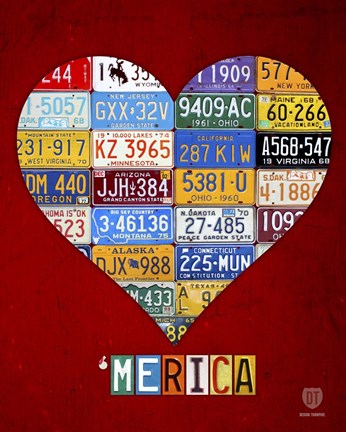 Framed 'Merica Print