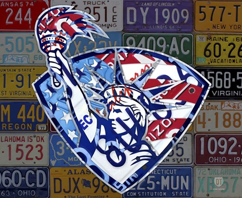 Framed Liberty Print