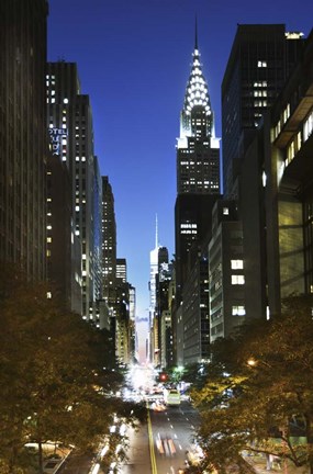 Framed Tudor 1 Less Blue Print