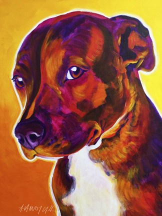 Framed Pit Bull - Luna Print