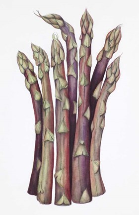 Framed Asparagus Print