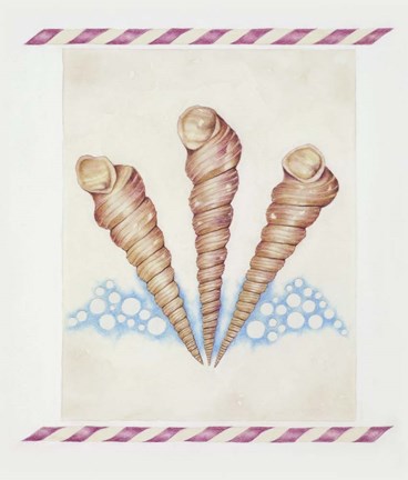 Framed Shell Tri Terebra Print