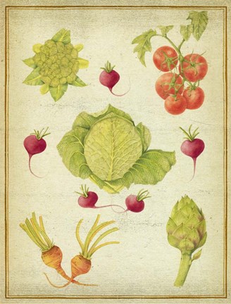 Framed Les Beaux Legumes (The Beautiful Vegetables) Vintage Print
