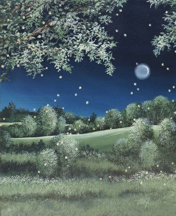 Framed Fireflies Meadow Print