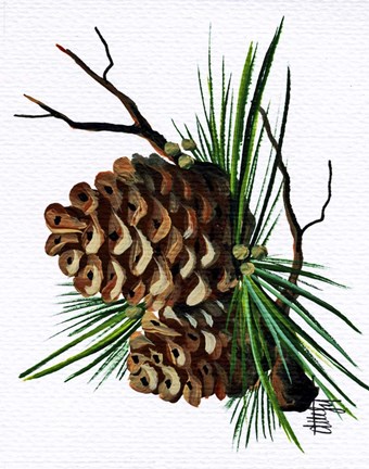 Framed Pine Cone Print
