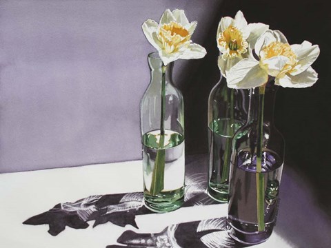 Framed Daffodil Study Print