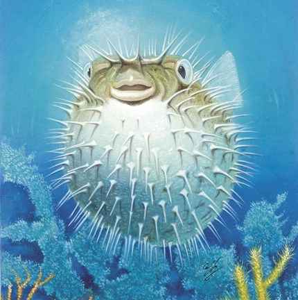 Framed Puffer Fish Print