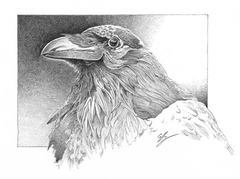 Framed Ravens Head Print