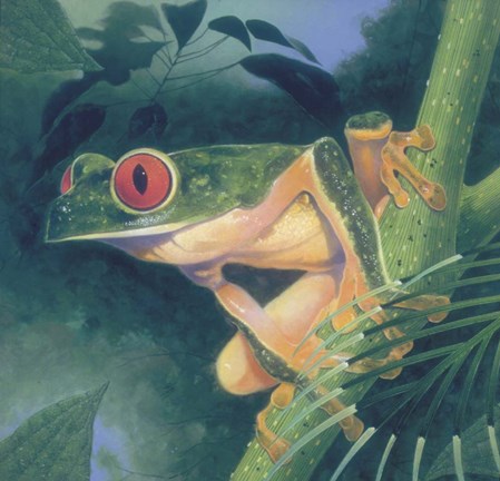Framed Tree Frog Print