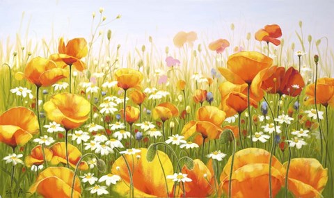 Framed Poppies Print