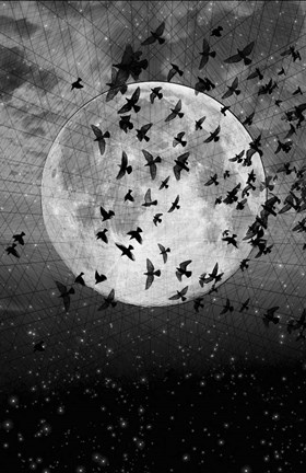 Framed Beyond The Horizon Print