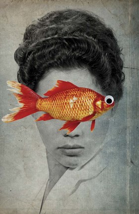 Framed Fish Eye Print